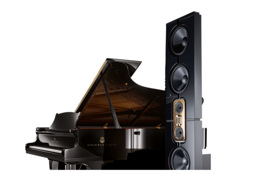 STEINWAY & SONS MODEL D