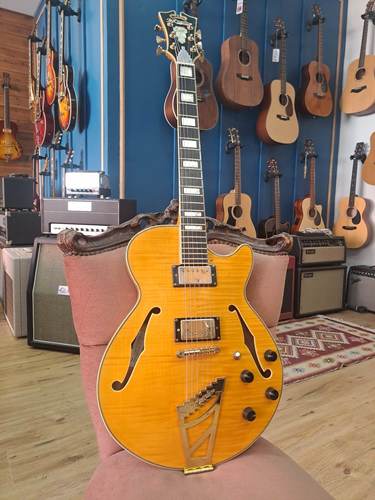 D'Angelico EXCEL SS stop-bar tailpiece 2014