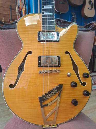 D'Angelico EXCEL SS stop-bar tailpiece 2014