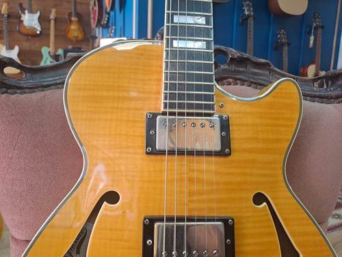 D'Angelico EXCEL SS stop-bar tailpiece 2014
