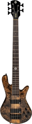 Spector NS Ethos 5 Bass Guitar