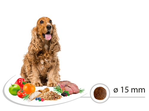 אוכל לכלבים סלקט Lamb Rice 12kg איכותי