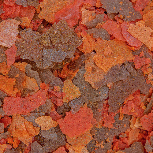 אושן נוטרישן מזון דפים בריין שרימפס 71 גרם Brine Shrimp Plus Flakes