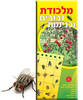 מלכודת דבק לניטור זבובים