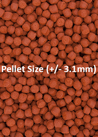 אושן נוטרישן פורמולה 1 גרגרים גדולים 400 גרם Formula One Medium Pellets