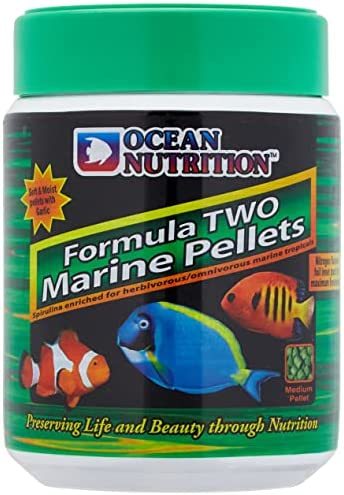 אושן נוטרישן פורמולה 2 גרגרים גדולים 400 גרם Formula Two Medium Pellets