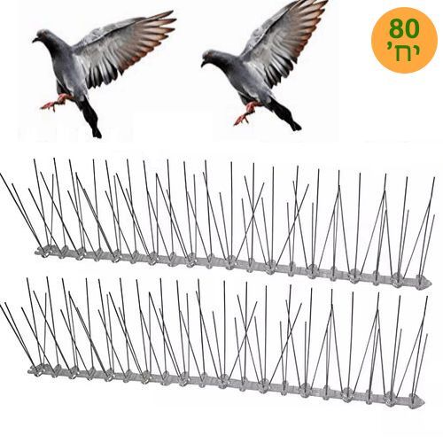 80 דוקרנים נגד יונים
