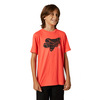 חולצת ילדים אפרסק - YOUTH SHATTERED SS TEE 