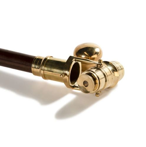 מקל הליכה טלסקופי Telescope Walking Stick