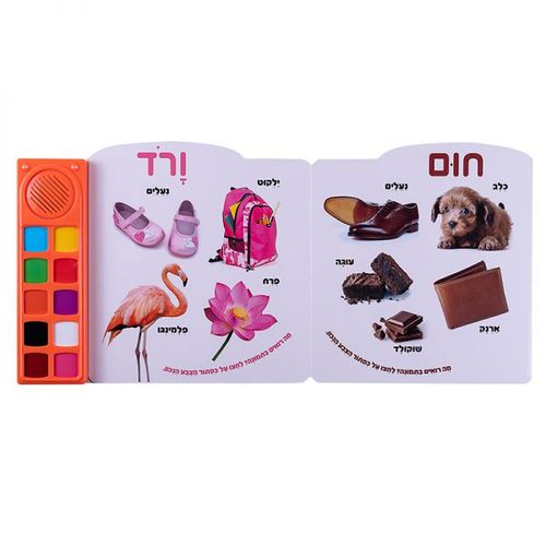 הצבעים הראשונים שלי– ספר אינטראקטיבי