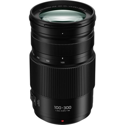 Panasonic Lumix G Vario 100-300mm f/4-5.6 II POWER O.I.S