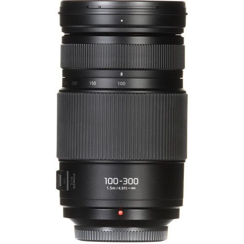 Panasonic Lumix G Vario 100-300mm f/4-5.6 II POWER O.I.S