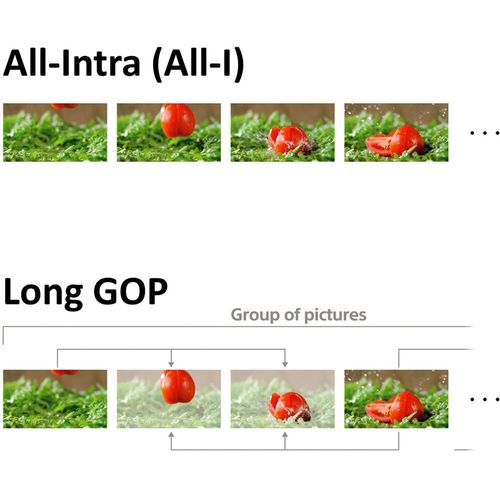 Sony Alpha A7S III Body גוף בלבד