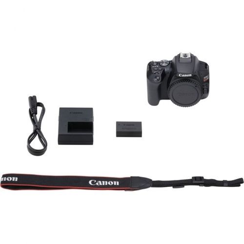Canon EOS 250D DSLR Body - גוף בלבד רשמי