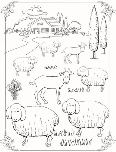 צובעים בגדול! חוברת צביעה XL גדולה 12 דפים - חיות בר