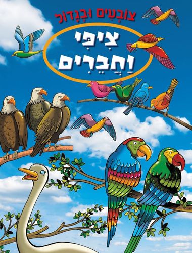 צובעים בגדול! חוברת צביעה XL גדולה 12 דפים - ציפי וחברים