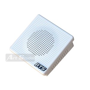 רמקול SQ10-6W להתקנות קבע  BTS