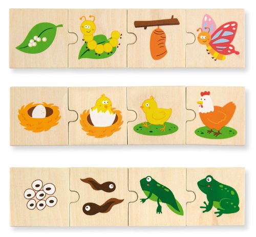 פאזל משחק התאמה 24 חלקים מעץ מלא - מעגל החיים