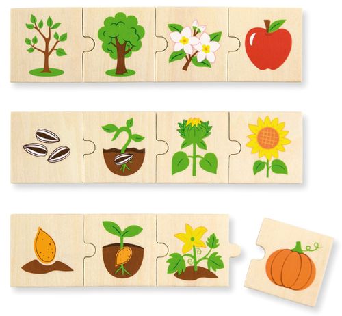 פאזל משחק התאמה 24 חלקים מעץ מלא - מעגל החיים