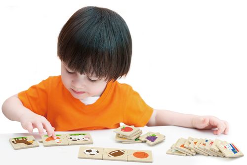 פאזל משחק התאמה 24 חלקים מעץ מלא - מיון לקטגוריה