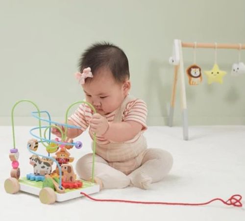 מבוך חרוזים מתגלגל עם 2 מסלולים מעץ מלא עם גלגלי שיניים וחוט משיכה - חווה