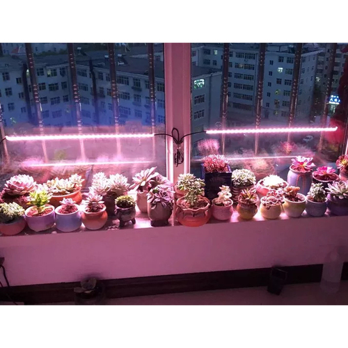 תאורת סולארית ספקטרום UV לגידול צמחים 100W SMD FSO