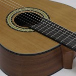 גיטרה קלאסית Walden N450 