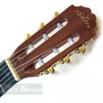 גיטרה קלאסית Walden N460