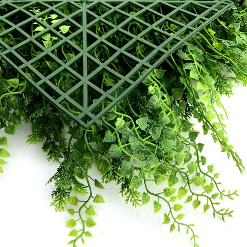 קיר ירוק – Mediterranean Fern
