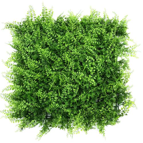 קיר ירוק – Mediterranean Fern