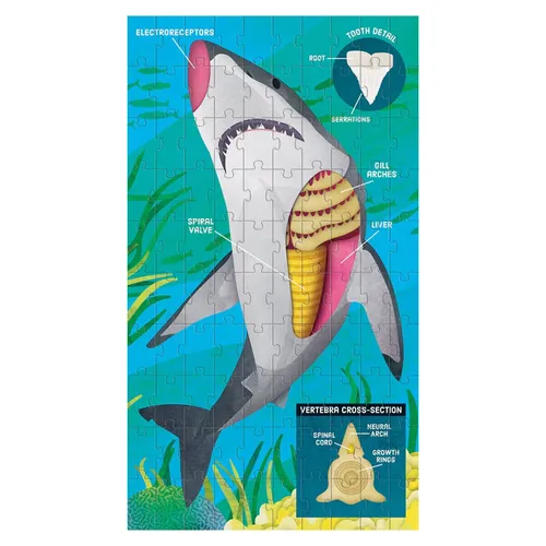 סט 3 פאזלים 100 חלקים כל אחד - אנטומיה בעלי חיים