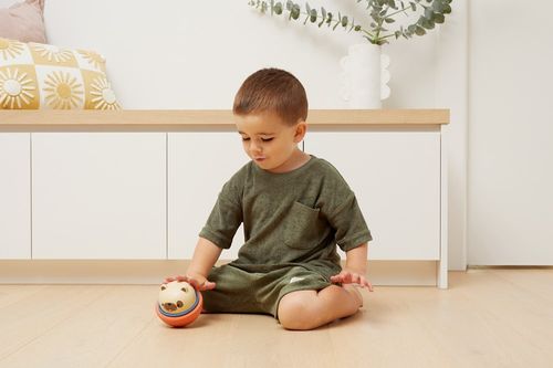 כלב מתנדנד ונוסע