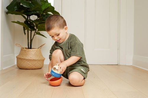 כלב מתנדנד ונוסע