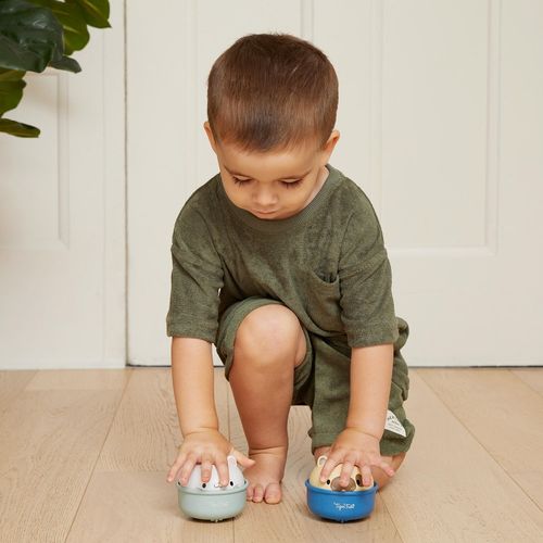 כלב מתנדנד ונוסע