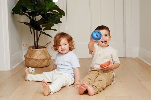 כלב מתנדנד ונוסע