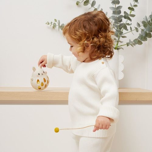 רעשן ארנב מסיליקון