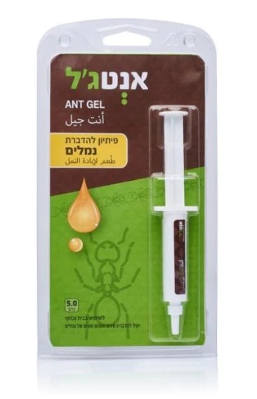 ג