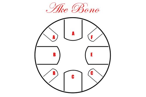 זוית נוספת Pearl Awakening Series 9 Note Tongue Drum