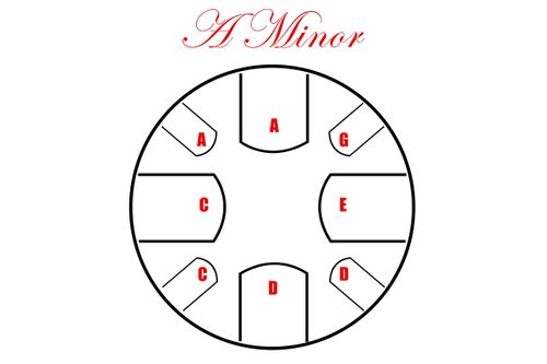 זוית נוספת Pearl Awakening Series 9 Note Tongue Drum