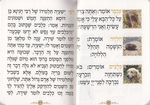 ספרון כיס פרק שירה- דגם נוף