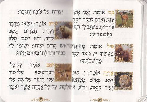 ספרון כיס פרק שירה- דגם נוף