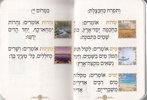 ספרון כיס פרק שירה- דגם נבל