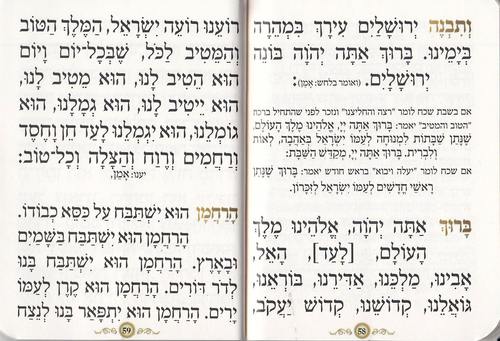 ספרון כיס פרק שירה- דגם נבל