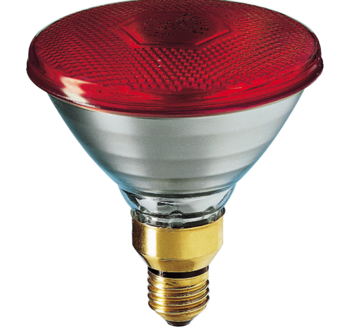 נורת פאר PAR 38 80W אדום China