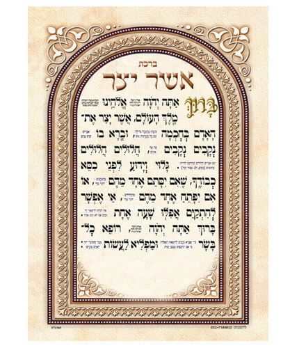 ברכון אשר יצר