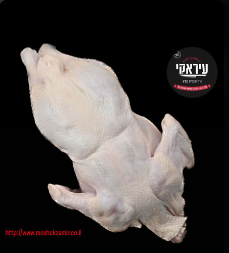 עוף שלם