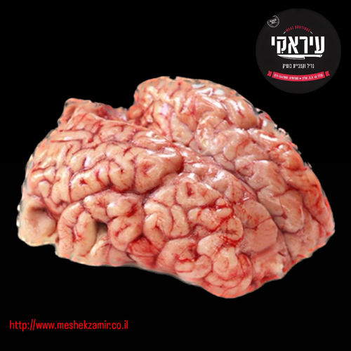 מוח עגל