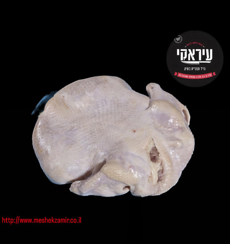 עוף ללא עצמות 