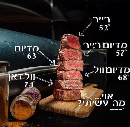מתכונים גריל גז גריל מאסטר