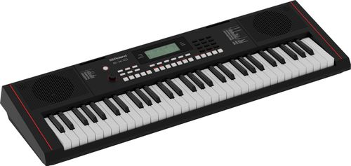 זוית נוספת Roland E-X10 Arranger Keyboard